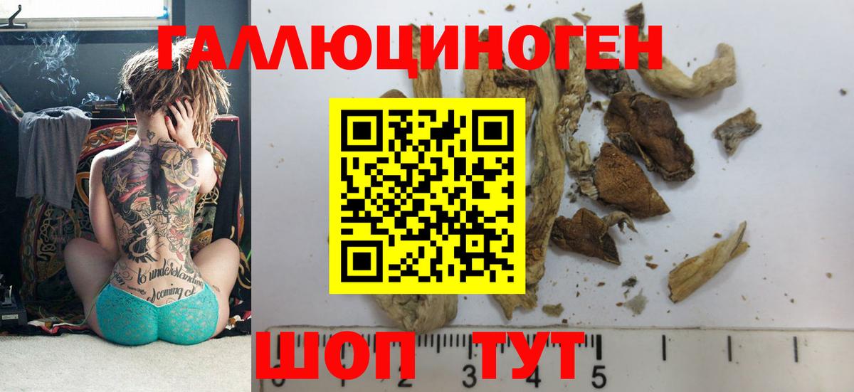 Псилоцибиновые грибы GOLDEN TEACHER  Вход с VPN  Кашира 